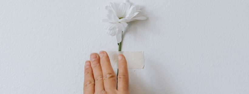 kwiat przyklejony do ściany